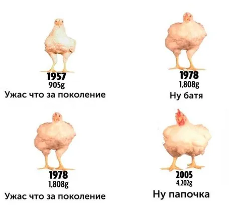 Ужас, что за поколение