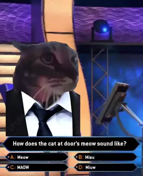 Cat Answers the Meow Question