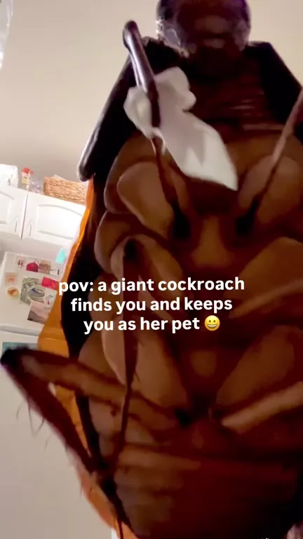 Giant Cockroach Keeps You as a Pet