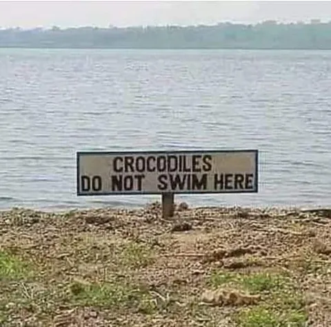Crocodiles Do Not Swim Here
