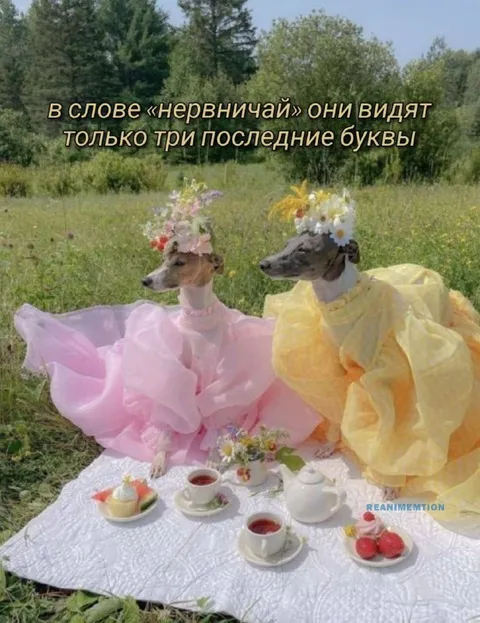 Они видят только чай