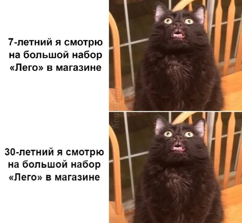 Большой набор «Лего» в магазине