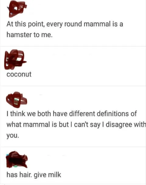Every Round Mammal Is a Hamster