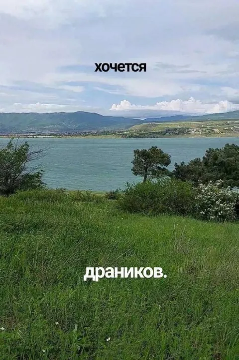 Хочется драников
