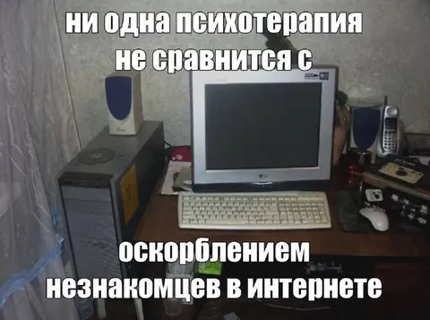 Оскорбления незнакомцев в интернете