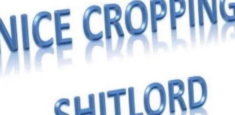 Nice Cropping Shitlord