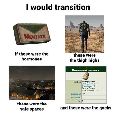 I Would Transition Meme