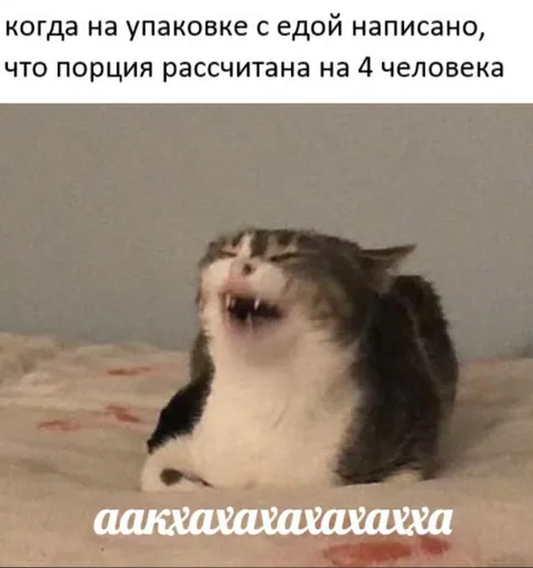 Порция на четверых