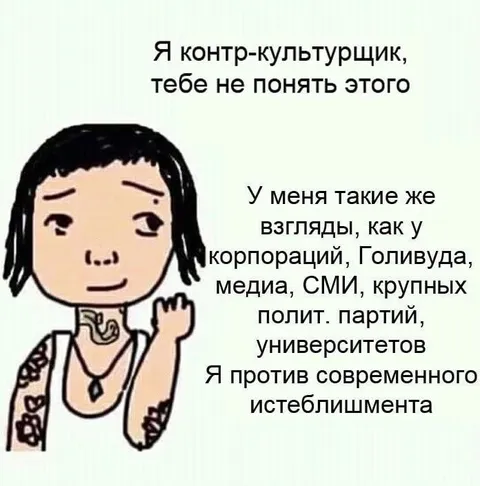 Я контр-культурщик против истеблишмента
