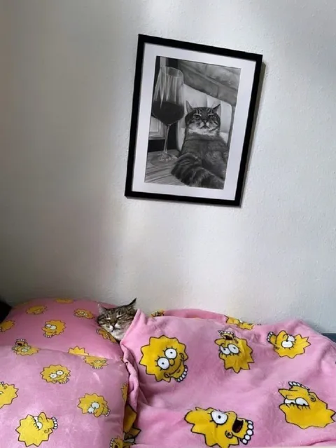 Кот под одеялом с портретом