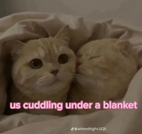 Us Cuddling Under a Blanket