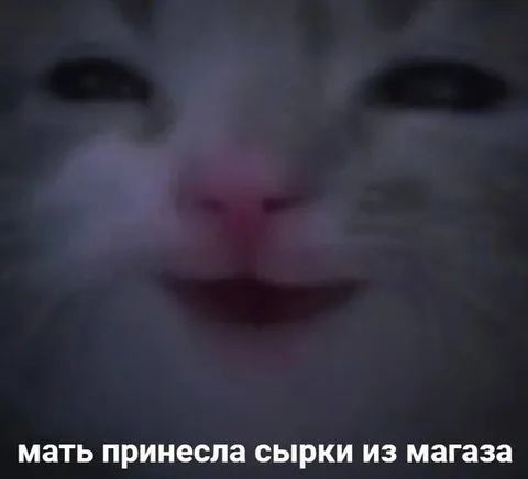 Мать принесла сырки