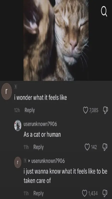 What It Feels Like to Be Cared For