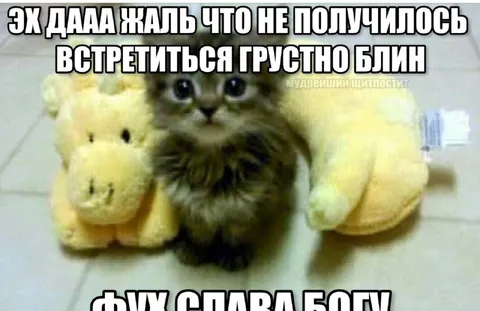 Грустно, что не встретились
