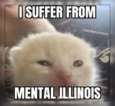 I Suffer From Mental Illnois