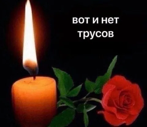 Вот и нет трусов
