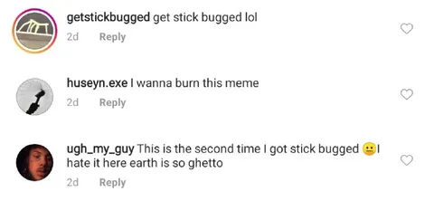 Got Stick Bugged Again