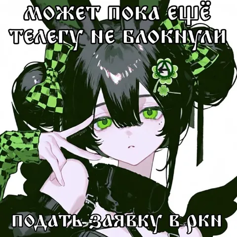 Подать заявку в ВКН