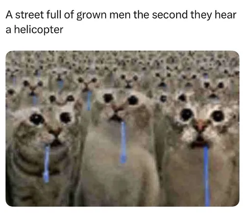 Grown Men Hear a Helicopter