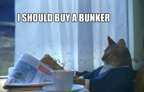 Cat Decides to Buy a Bunker