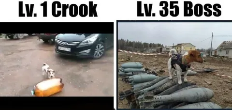Level 1 Crook vs Level 35 Boss