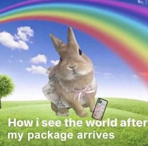 World After Package Arrives