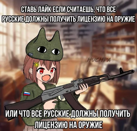 Лицензия на оружие для русских