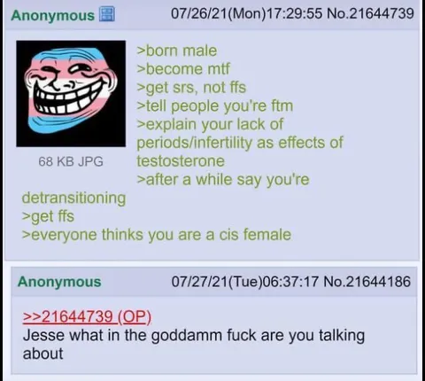 The Impossible Detransitioning Plan
