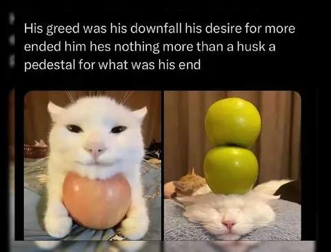Greed Turns Cat Into a Husk