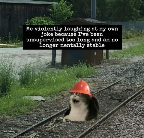 Unsupervised Laughing Cat