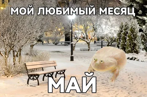 Мой любимый месяц — май