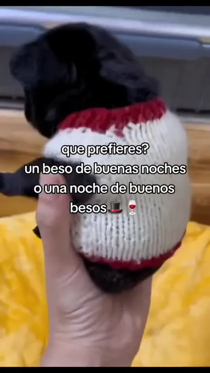 ¿Beso de buenas noches o buenos besos?