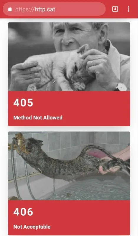 HTTP Error Cats and Rats