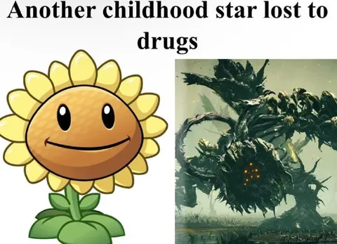 Another Childhood Star Lost to Drugs