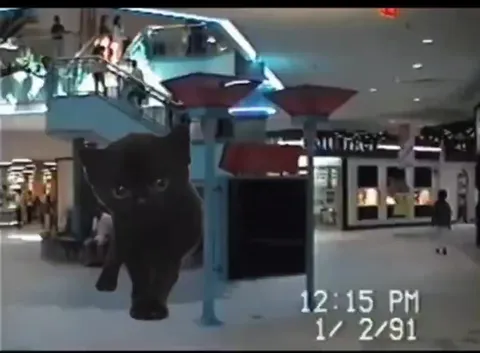Tiny Cat Survives the Apocalypse