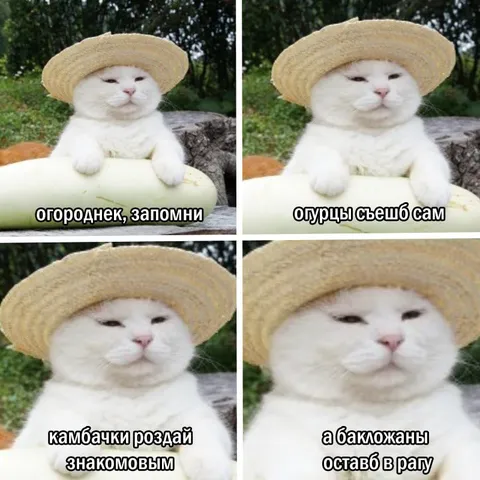 Кот-огородник с поручениями