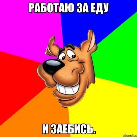 Работаю за еду и заебись