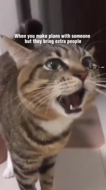 When Extra People Join Plans