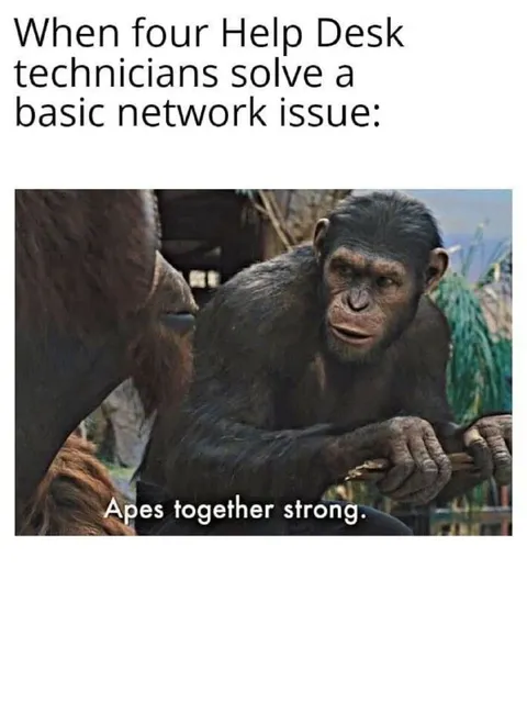 Help Desk Apes Solve Network Issue