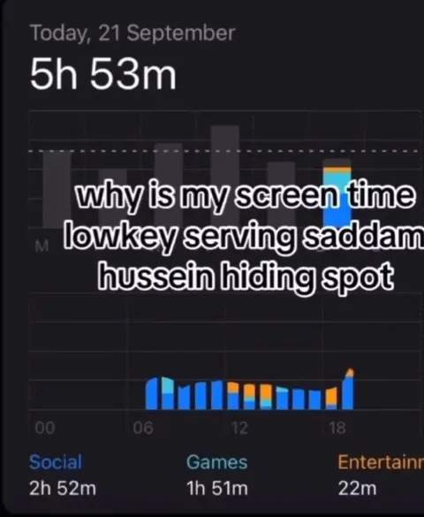 Saddam Hussein Hiding Spot