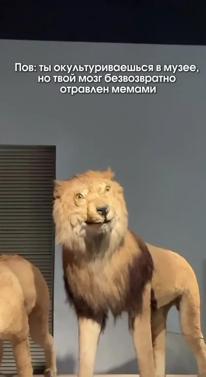 Мозг отравлен мемами в музее