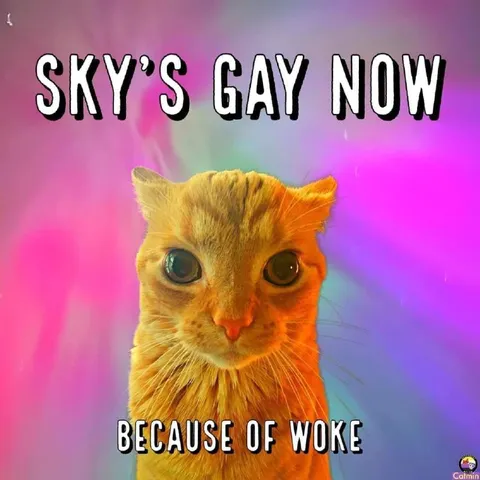 Sky’s Gay Now Because of Woke