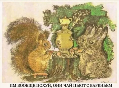 Белки пьют чай с вареньем