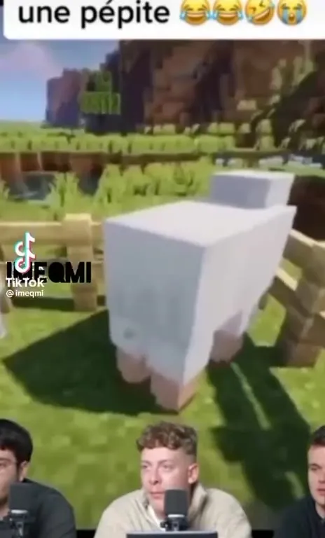 Le mouton Minecraft devient pâtissier