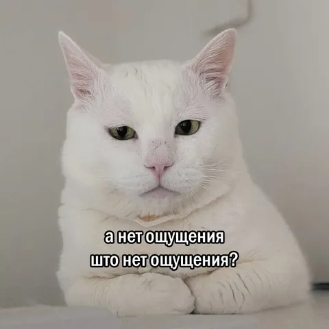 Ощущение отсутствия ощущений