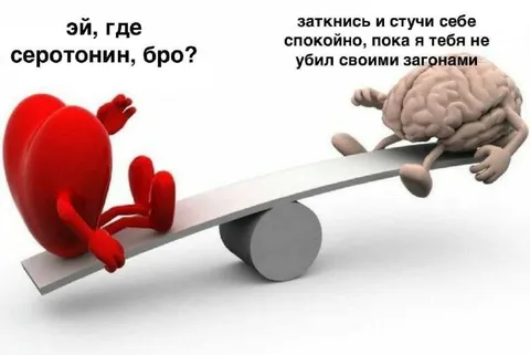 Где серотонин, бро?