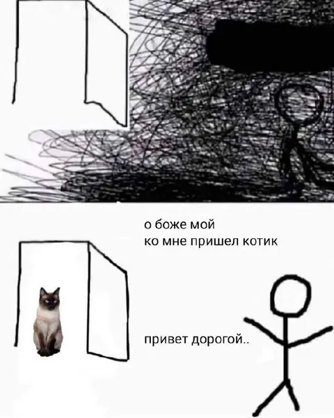 Котик пришёл в гости