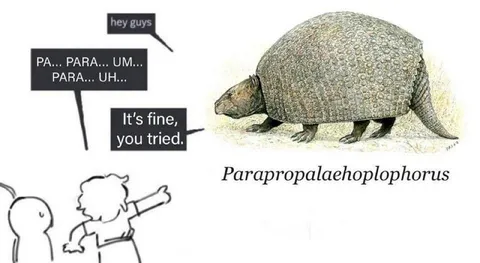 Trying to Pronounce the Armadillo Name