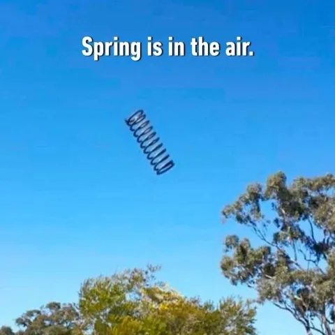 Spring Is in the Air