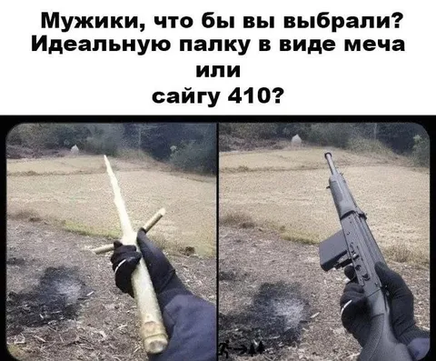 Идеальная палка или сайга 410